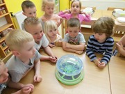 Rychlíme semínka a pozorujeme